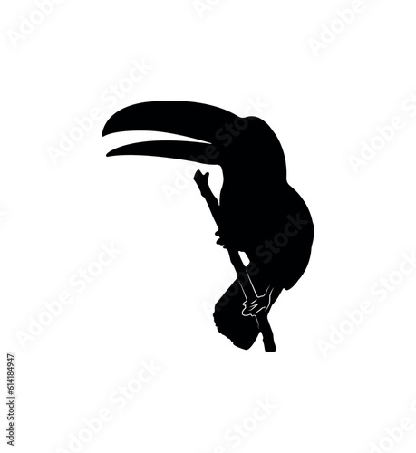 Vector flat toucan silhouette isolated on white background