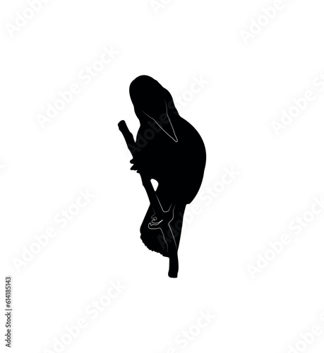 Vector flat toucan silhouette isolated on white background