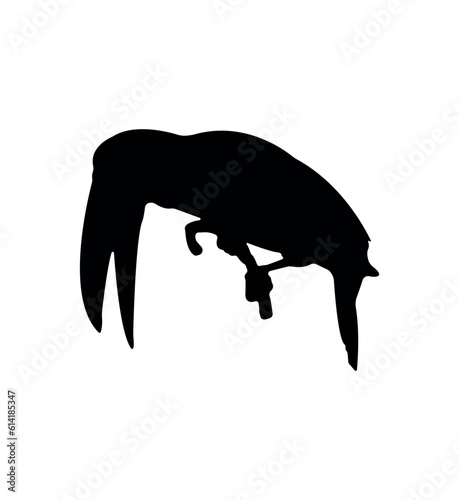 Vector flat toucan silhouette isolated on white background
