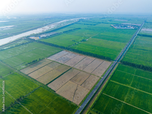 Overlook of green rice fields, spacious road