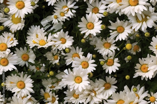 White little daisies seamless background  wallpaper. Generative AI.