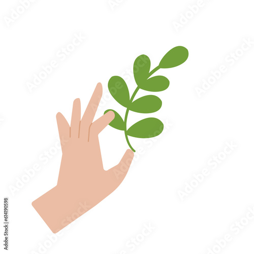 hand holding sprigs with leaves © Supakorn