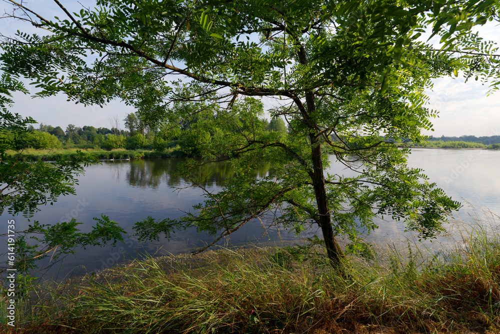 Island of the Saint-Mesmin National Nature Reserve in Loire valley Island of the Saint-Mesmin National Nature Reserve in Loire valley