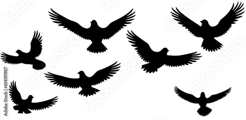 Graceful Collection: Black Vector Silhouettes of Birds