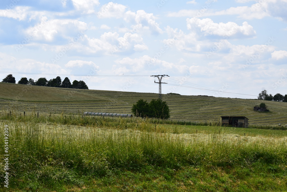 Eifel landscape with Grain fields in summer Eifel landscape with Grain fields in summer