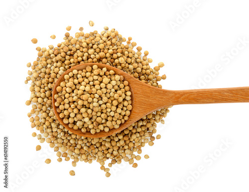 Coriander seeds in wood spoon on transparent png