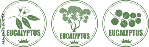 Eucalyptus logo. Isolated eucalyptus on white background