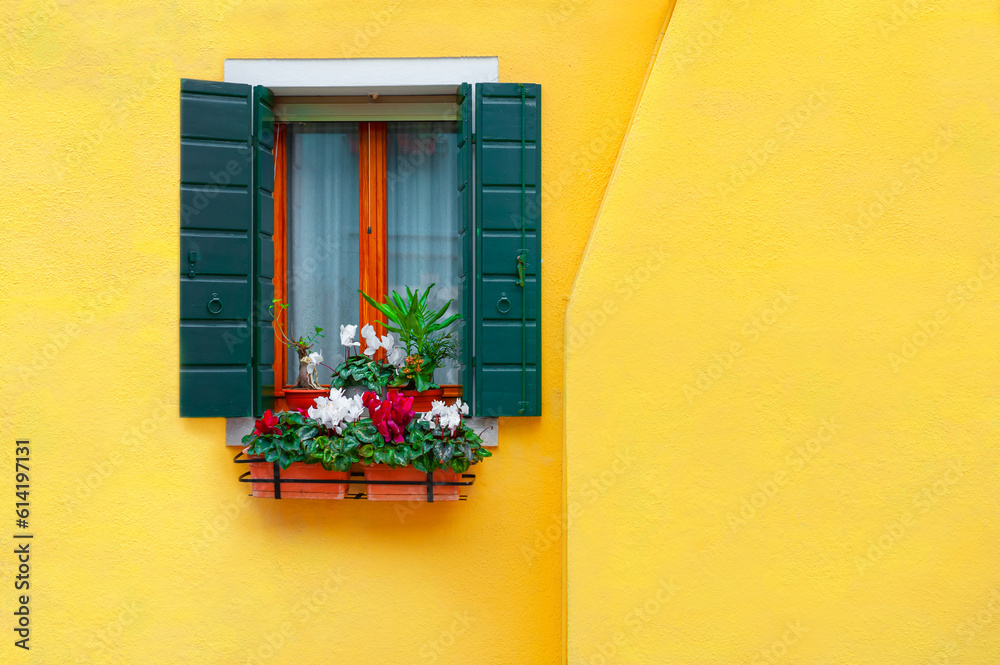 Yellow painted facade of the house and window with flowers. Burano, Italy.