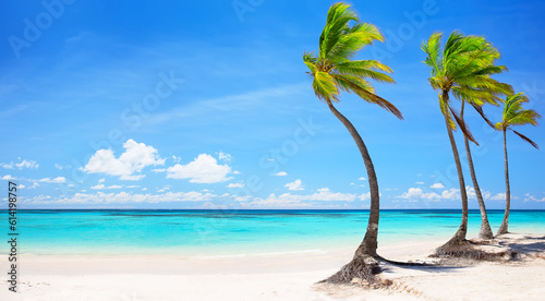 Panorama of tropical white sand beach with coconut palm trees and turquoise blue water in Punta Cana, Dominican Republic.