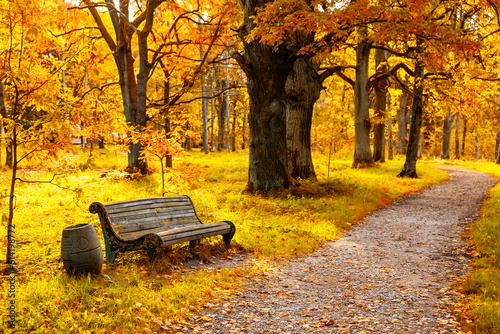 Fototapeta Old wooden bench in the autumn park under colorful autumn trees with golden leaves