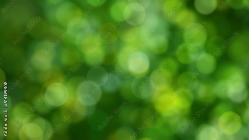 Loopable abstract background of a green natural bokeh Loopable abstract background of a green natural bokeh
