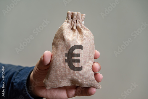 A hand holding a money bag with euro sign printed on it