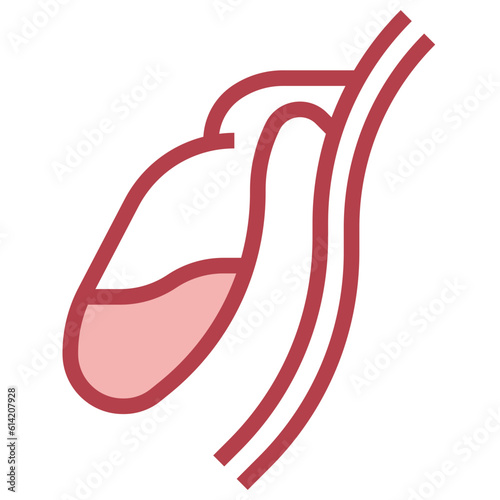 GALLBLADDER line icon,linear,outline,graphic,illustration