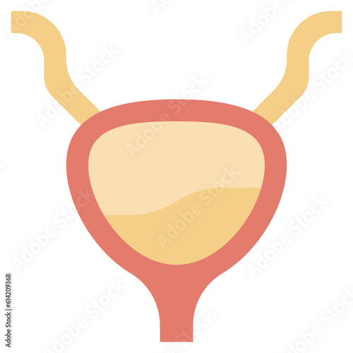 BLADDER line icon,linear,outline,graphic,illustration