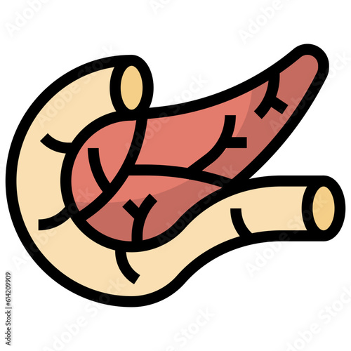PANCREAS line icon,linear,outline,graphic,illustration