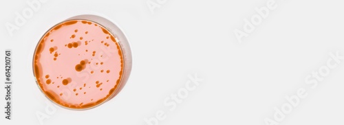 Petri dish on a light background. With red liquid, and interspersed with red drops. Round red circles on the water. Laboratory, blood, plasma. Study.