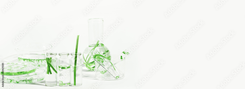 organic cosmetics, natural cosmetics, biofuels, algae. Natural green laboratory. Experiments. Laboratory glassware and containers with green plants on a light background.