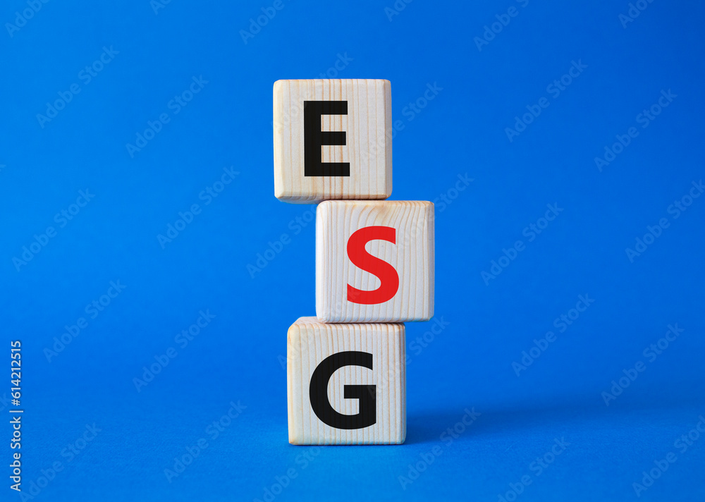 GSG - Environmental, Social and Governance symbol. Concept word GSG on wooden cubes. Beautiful blue background. Business and GSG concept. Copy space. GSG - Environmental, Social and Governance symbol. Concept word GSG on wooden cubes. Beautiful blue background. Business and GSG concept. Copy space.