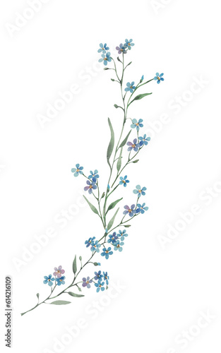 long thin bouquet of watercolor forget-me-nots  semi round