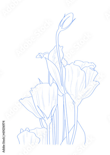 Blue Ink hand drawn vector flowers illustration for decoration, card, packaging and designing