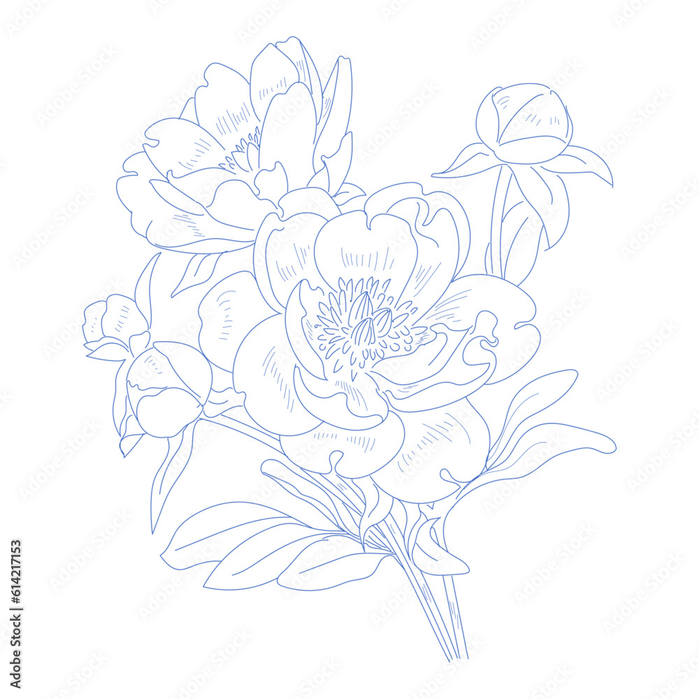 Blue Ink hand drawn vector flowers illustration for decoration, card, packaging and designing