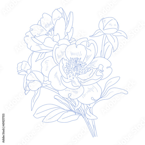 Blue Ink hand drawn vector flowers illustration for decoration, card, packaging and designing