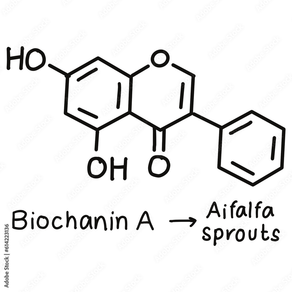 Chemical structures in food and what we eat every day Chemical structures in food and what we eat every day