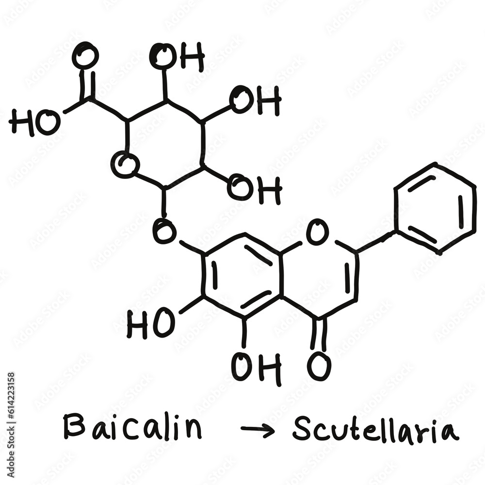 Chemical structures in food and what we eat every day Chemical structures in food and what we eat every day