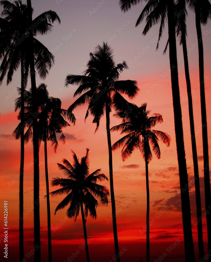 Sunset on a tropical Island