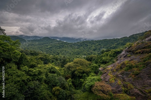 View on unique and amazed nature scenic landscape of rain forest and jungle near Dudhsagar Falls. Goa, India. Tourism beautiful destination place. Open world after covid-19