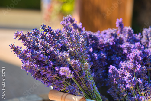 Fototapeta Naklejka Na Ścianę i Meble -  Lavendel im  Sommer
