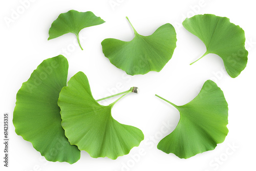 Green ginkgo biloba leaves isolated on white background. Top view. Flat lay