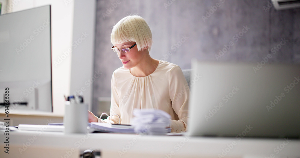 Electronic Invoice Accountant Software On Computer Electronic Invoice Accountant Software On Computer