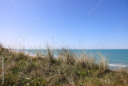 Fototapeta Naklejka Na Ścianę i Meble -  The view of the North Sea quiet and beautiful summer day in June
