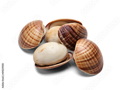 Fényképezés Asari clams isolated on transparent or white background, png