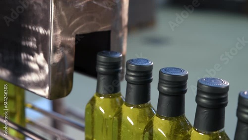 Olive oil in glass bottles moving on production line. Olive oil production factory.
