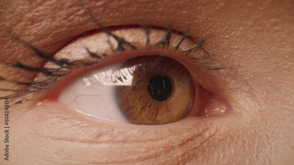 Close up woman eye focusing on human gesturing. Focused woman watch objects near her. Macro female eyes. Person watches hypnotizing index finger. Daylight reflected in the brown eye, pupil close-up. Close up woman eye focusing on human gesturing. Focused woman watch objects near her. Macro female eyes. Person watches hypnotizing index finger. Daylight reflected in the brown eye, pupil close-up.