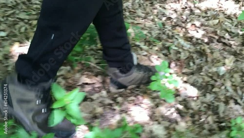 Walking thru the forest footage of a man with hiking shoes, recorded from the side