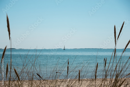 Sailboat far in the distance on turquoise calm water in archipelago with reeds in the foreground on beautiful white sand paradise beach in summer