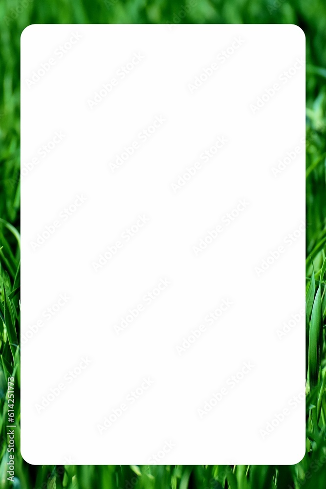 Obraz premium Creative and colored rectangle border with white background