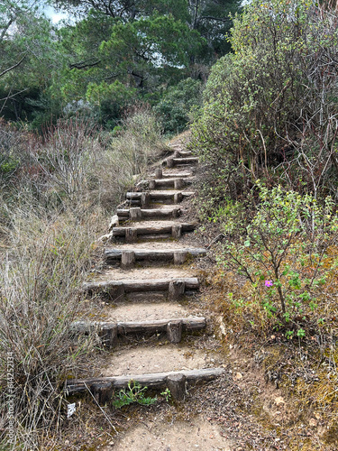 View of path in the mountains on the summer day. Sardinia. Italy.