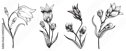 Bluebell flowers set in graphic vintage style. Vector image.