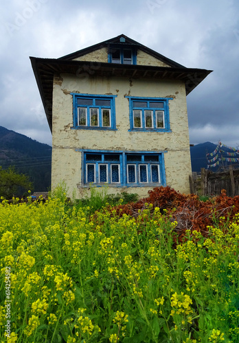 old house in the flower field