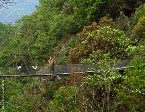 suspension bridge over the jungle