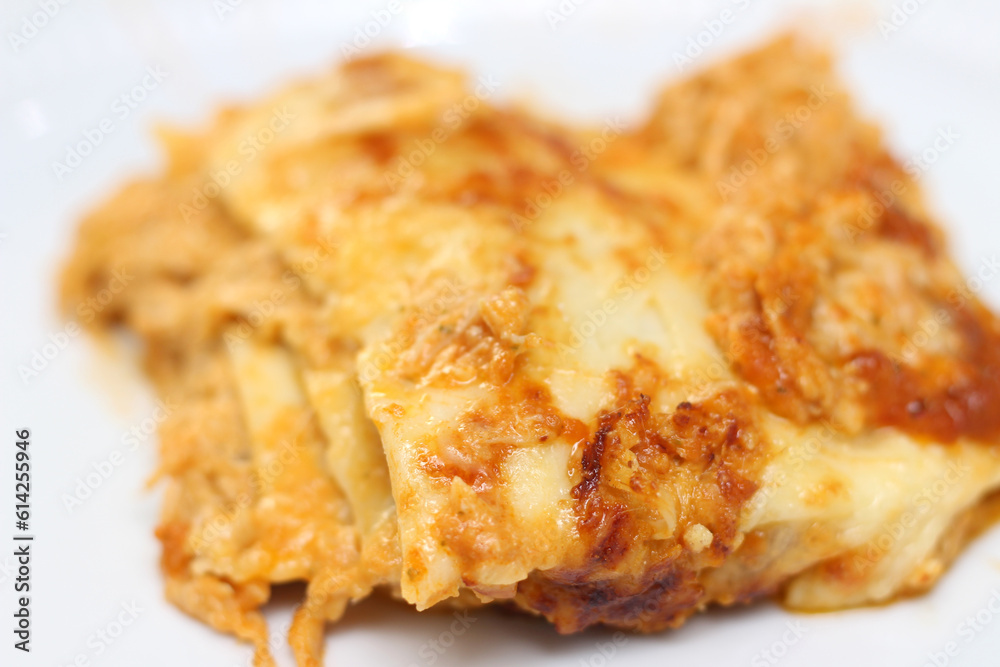 piece of chicken lasagna ready to be served. lasagna with selective focus. pasta with chicken. piece of chicken lasagna ready to be served. lasagna with selective focus. pasta with chicken.