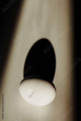 Egg with the cracked shell on a table in sunlight, concept