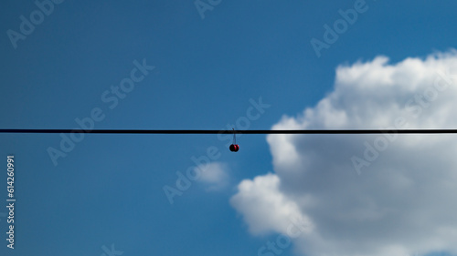 Red cherry. Cherry hanging on a wire. Cherry on the background of the blue sky