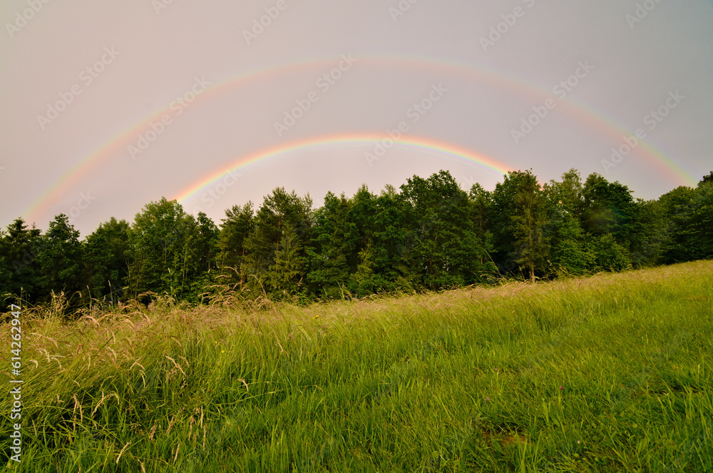 Double rainbow above the forest and meadow. Sunny and rainy weather at the same time caused this rare phenomenon. Spring evening in Czech republic. Double rainbow above the forest and meadow. Sunny and rainy weather at the same time caused this rare phenomenon. Spring evening in Czech republic.