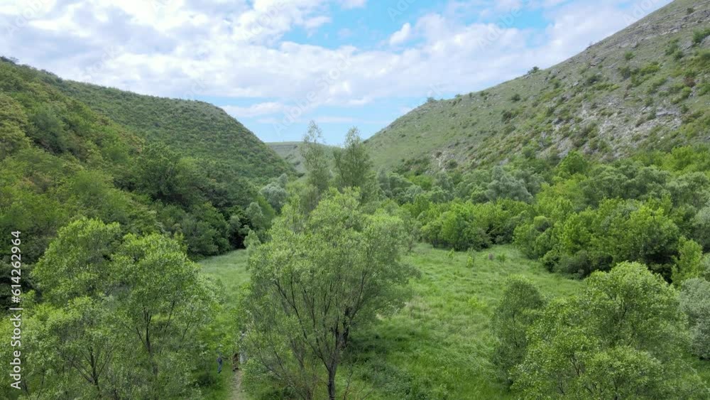an extremely beautiful landscape, a green and magical nature during the summer. an extremely beautiful landscape, a green and magical nature during the summer.
