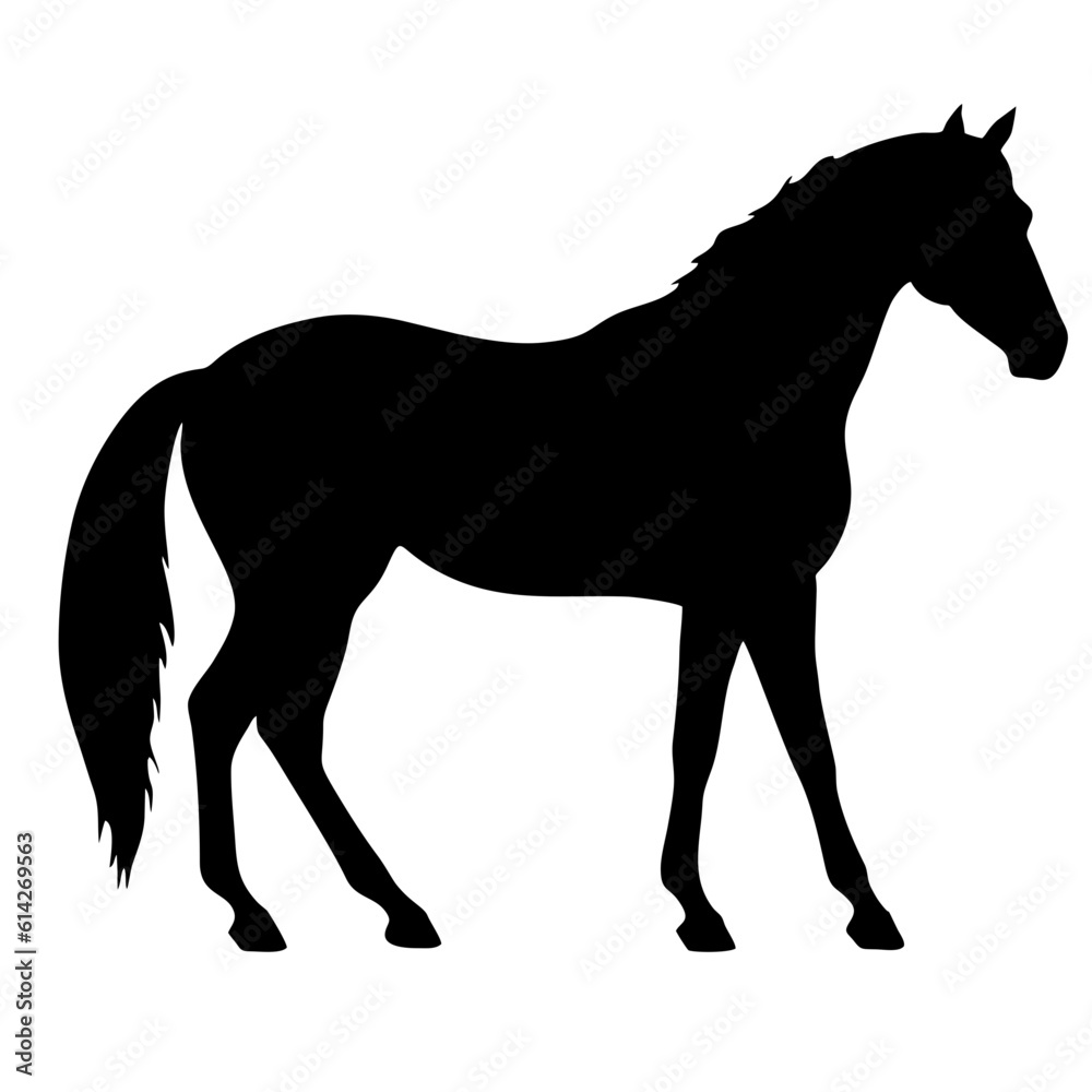 silhouette of a horse silhouette of a horse